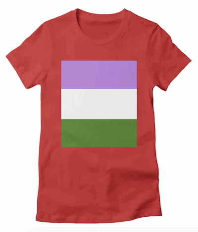 t-shirt with Gender Queer flag